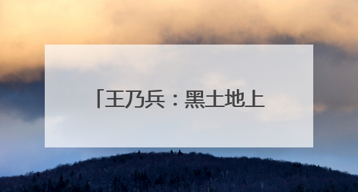王乃兵：黑土地上“种”出红火日子