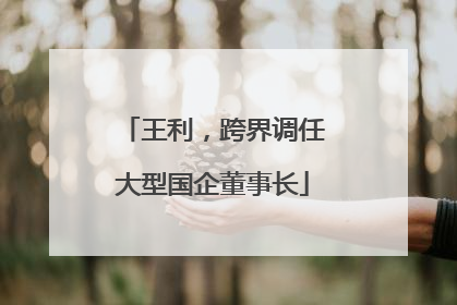 王利，跨界调任大型国企董事长