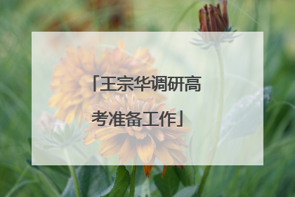 王宗华调研高考准备工作