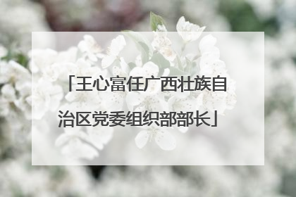 王心富任广西壮族自治区党委组织部部长