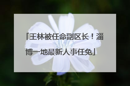 王林被任命副区长！淄博一地最新人事任免
