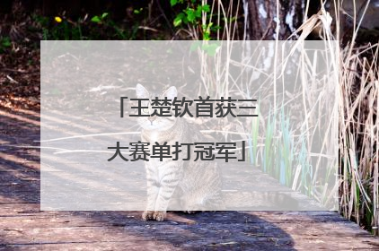 王楚钦首获三大赛单打冠军