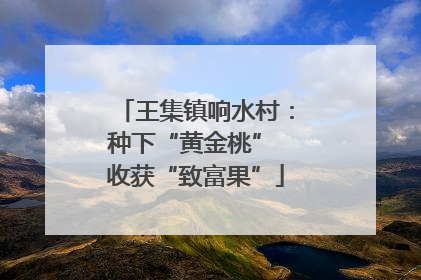 王集镇响水村：种下“黄金桃” 收获“致富果”