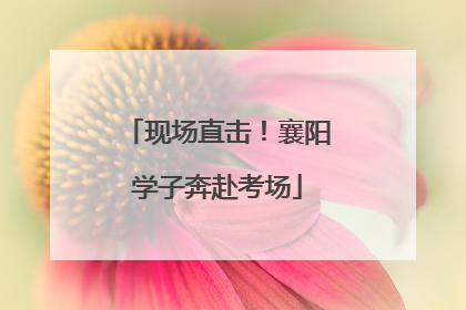 现场直击！襄阳学子奔赴考场