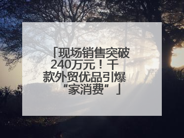 现场销售突破240万元！千款外贸优品引爆“家消费”