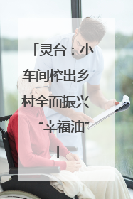 灵台：小车间榨出乡村全面振兴“幸福油”