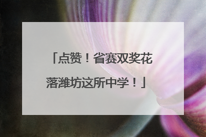 点赞！省赛双奖花落潍坊这所中学！