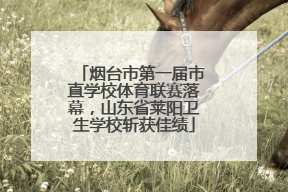 烟台市第一届市直学校体育联赛落幕，山东省莱阳卫生学校斩获佳绩