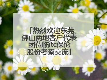热烈欢迎东莞、佛山两地客户代表团莅临itc保伦股份考察交流