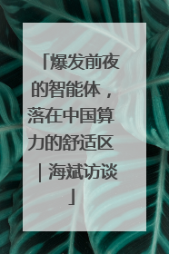 爆发前夜的智能体，落在中国算力的舒适区｜海斌访谈