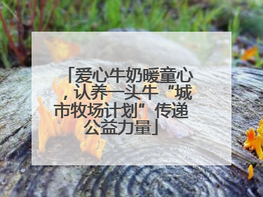 爱心牛奶暖童心，认养一头牛“城市牧场计划”传递公益力量