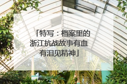 特写：档案里的浙江抗战故事有血有泪见精神