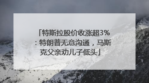 特斯拉股价收涨超3%：特朗普无意沟通，马斯克父亲劝儿子低头