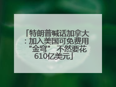 特朗普喊话加拿大：加入美国可免费用“金穹” 不然要花610亿美元