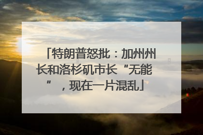 特朗普怒批：加州州长和洛杉矶市长“无能”，现在一片混乱