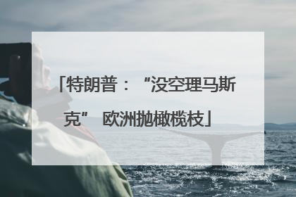 特朗普：“没空理马斯克” 欧洲抛橄榄枝