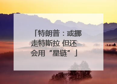 特朗普：或挪走特斯拉 但还会用“星链”
