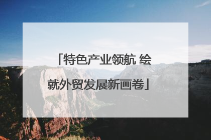 特色产业领航 绘就外贸发展新画卷