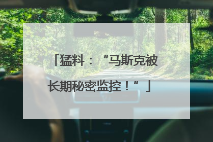 猛料：“马斯克被长期秘密监控！”