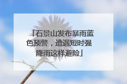石景山发布暴雨蓝色预警，遭遇短时强降雨这样避险