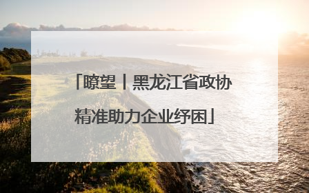 瞭望丨黑龙江省政协精准助力企业纾困