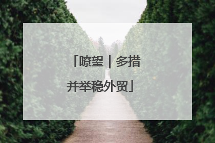 瞭望｜多措并举稳外贸