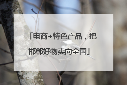电商+特色产品，把邯郸好物卖向全国