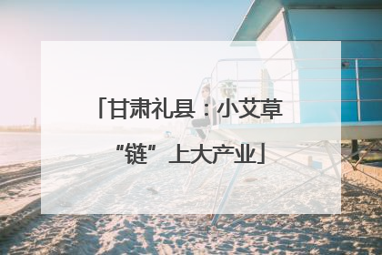 甘肃礼县：小艾草“链”上大产业