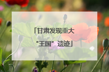 甘肃发现重大“王国”遗迹