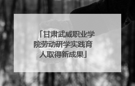 甘肃武威职业学院劳动研学实践育人取得新成果
