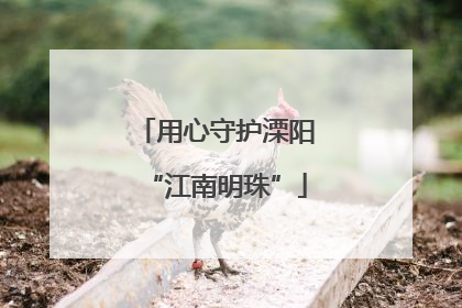 用心守护溧阳“江南明珠”