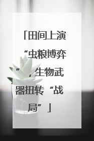 田间上演“虫粮博弈”，生物武器扭转“战局”