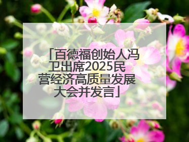 百德福创始人冯卫出席2025民营经济高质量发展大会并发言