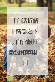 白话拆解丨情急之下，白宫敲打欧盟和苹果！