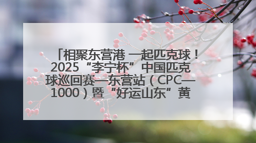 相聚东营港 一起匹克球！2025“李宁杯”中国匹克球巡回赛—东营站（CPC—1000）暨“好运山东”黄河口匹克球公开赛落幕