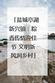 盐城亭湖新兴镇：粽香传情迎佳节 文明新风润乡村