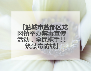 盐城市盐都区龙冈镇举办禁毒宣传活动，全民携手共筑禁毒防线