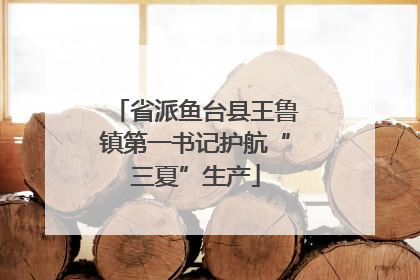 省派鱼台县王鲁镇第一书记护航“三夏”生产