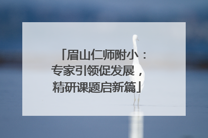 眉山仁师附小：专家引领促发展，精研课题启新篇