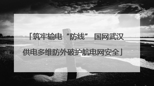 筑牢输电“防线” 国网武汉供电多维防外破护航电网安全