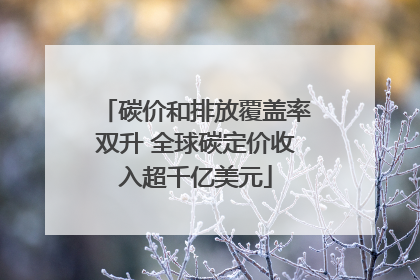 碳价和排放覆盖率双升 全球碳定价收入超千亿美元