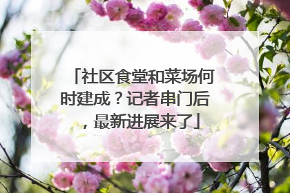 社区食堂和菜场何时建成？记者串门后，最新进展来了