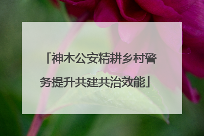 神木公安精耕乡村警务提升共建共治效能