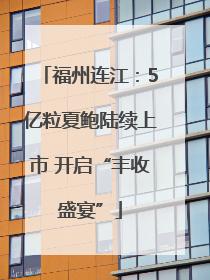 福州连江:5亿粒夏鲍陆续上市 开启“丰收盛宴”