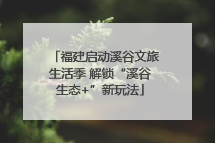 福建启动溪谷文旅生活季 解锁“溪谷生态+”新玩法