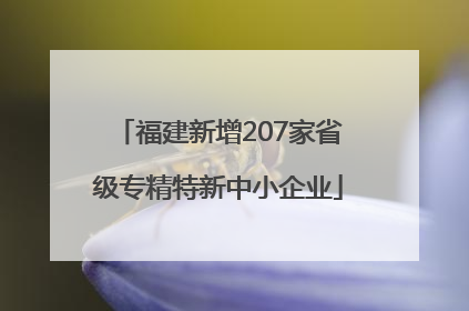 福建新增207家省级专精特新中小企业
