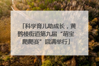 科学育儿助成长，黄鹤楼街道第九届“萌宝爬爬赛”圆满举行