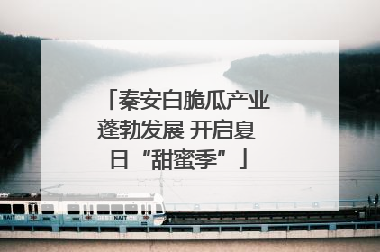 秦安白脆瓜产业蓬勃发展 开启夏日“甜蜜季”