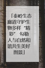 秦岭生态廊道守护生物多样“精彩” 勾勒人与自然和谐共生美好图景