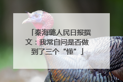 秦海璐人民日报撰文：我常自问是否做到了三个“懂”